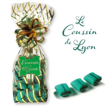 Coussins de Lyon Voisin en sachet cadeau